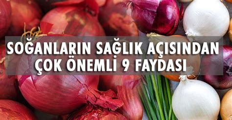 Soğanın Faydaları Nedir?