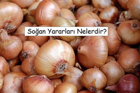 Soğanın Yararları Nelerdir?